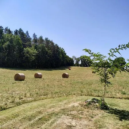 Vakantiehuis Cocon Romantique Avec Jacuzzi Privatif Proche Sarlat *